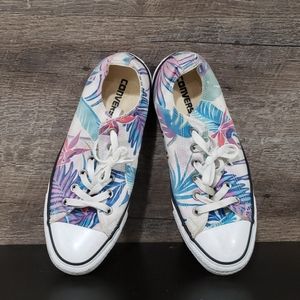 Converse tropical palm